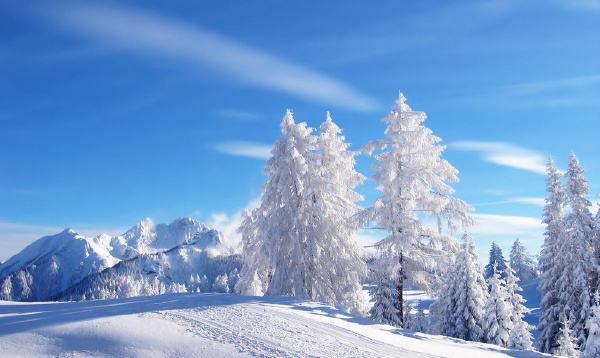 VCR影视短片传播特点