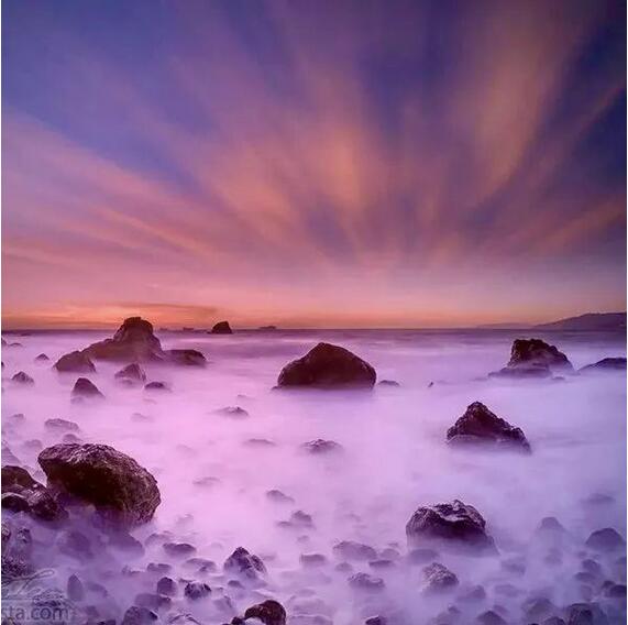 正方形构图这么美，原来是有套路的！ 