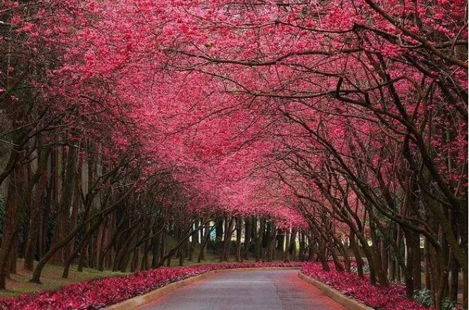 摄影的构图，到底有什么用？ 