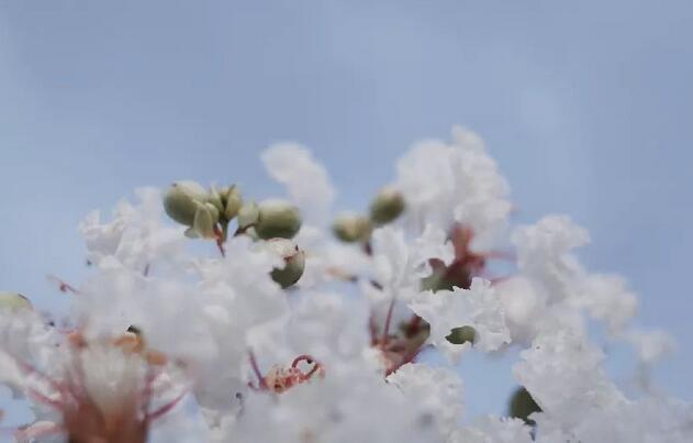 相机拍照，如何让照片在直出情况下就拥有滤镜效果？ 