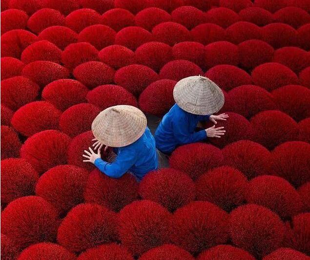 新手快速入门,从简约摄影学起,17张照片帮你理清思路