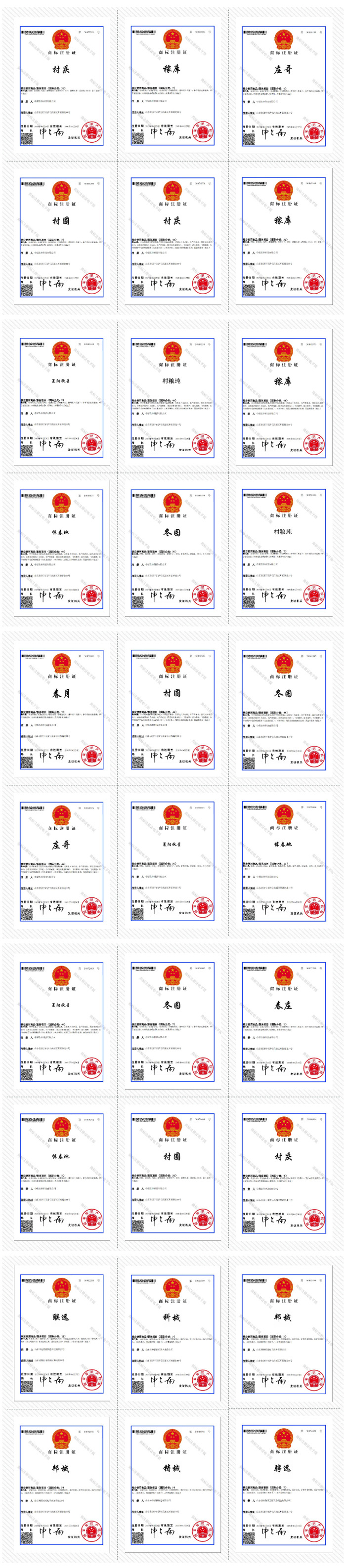 热烈祝贺集团旗下多家公司成功取得30个国家商标注册证书
